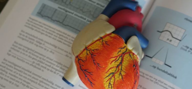 Coronary Heart Disease: Risk Factors and Prevention