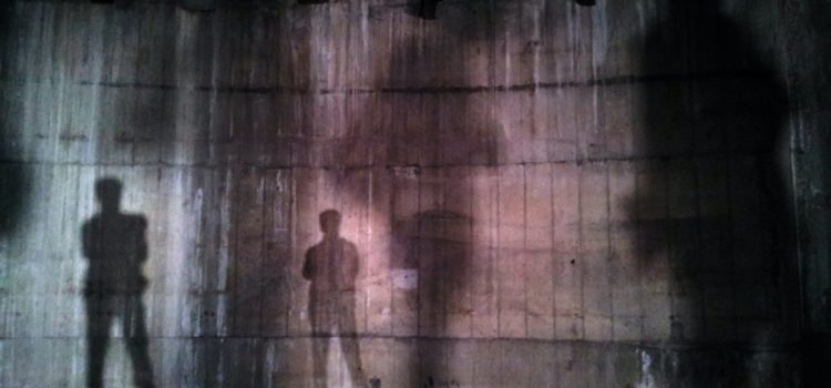 What Is Shadow Psychology? Carl Jung’s Theory What Is Shadow Psychology? Carl Jung’s Theory