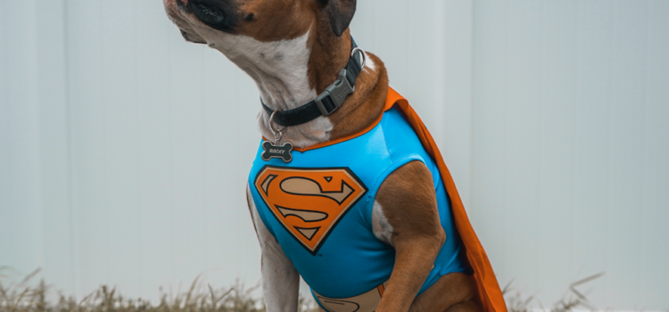 OKR Superpowers: 4 Ways to Boost Your Progress OKR Superpowers: 4 Ways to Boost Your Progress