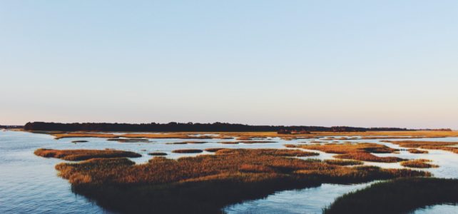 Where The Crawdads Sing Chapter 1 Summary Shortform Books