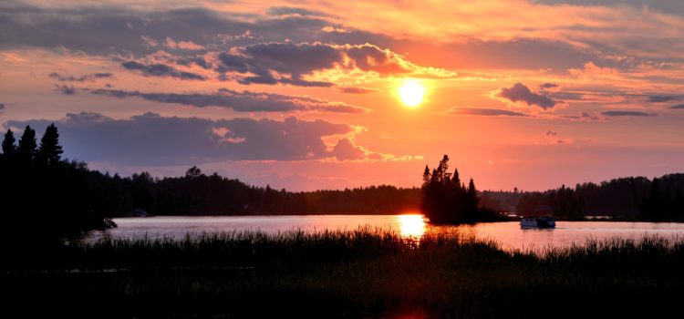 5 Beautiful Where the Crawdads Sing Quotes 5 Beautiful Where the Crawdads Sing Quotes