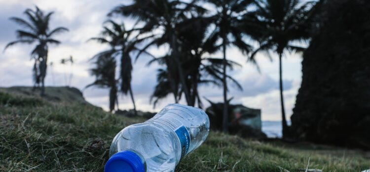 What Is an Endocrine Disruptor & Why Does it Matter? What Is an Endocrine Disruptor & Why Does it Matter?