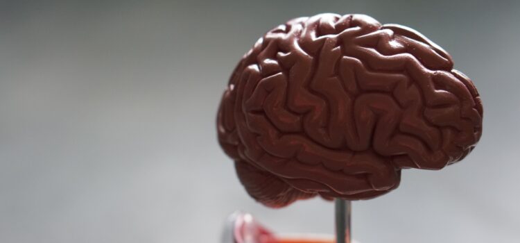 What Is Brain on Fire About? Rare Disease + Resilience What Is Brain on Fire About? Rare Disease + Resilience