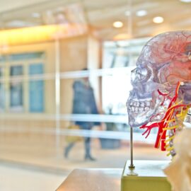 What Is Autoimmune Brain Stem Encephalitis?