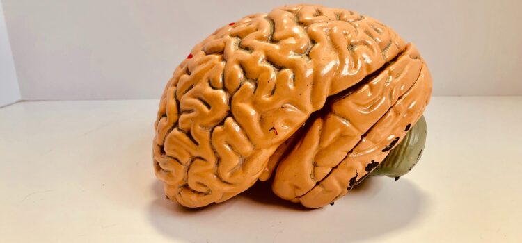 Parkinson’s Disease: Causes & Prevention Measures Parkinson’s Disease: Causes & Prevention Measures