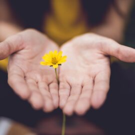 How Practicing Forgiveness Can Heal You From Suffering