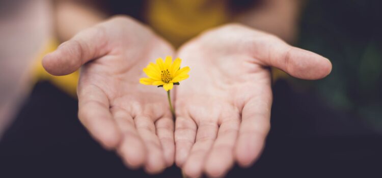 How Practicing Forgiveness Can Heal You From Suffering