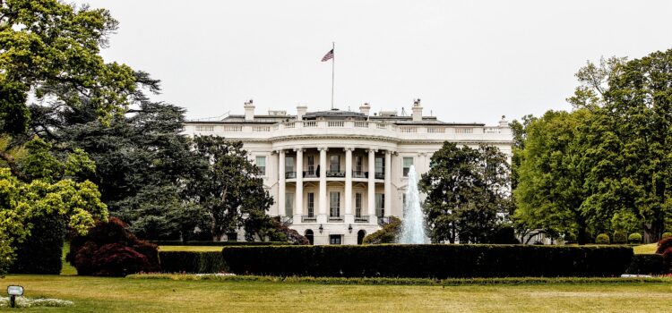 Unitary Executive: Too Much Power for One Person? Unitary Executive: Too Much Power for One Person?