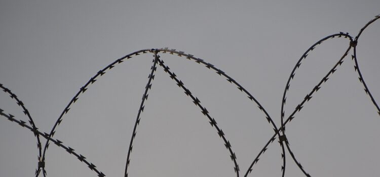 Being Institutionalized: Bureaucracy Prevails Being Institutionalized: Bureaucracy Prevails