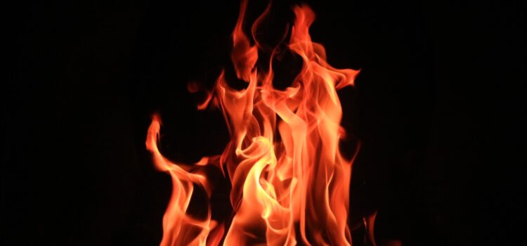 Stealing Fire: Book Overview & Key Takeaways Stealing Fire: Book Overview & Key Takeaways