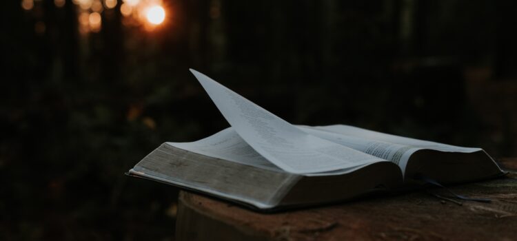 All Knowledge Is Good Knowledge—Here’s Why All Knowledge Is Good Knowledge—Here’s Why