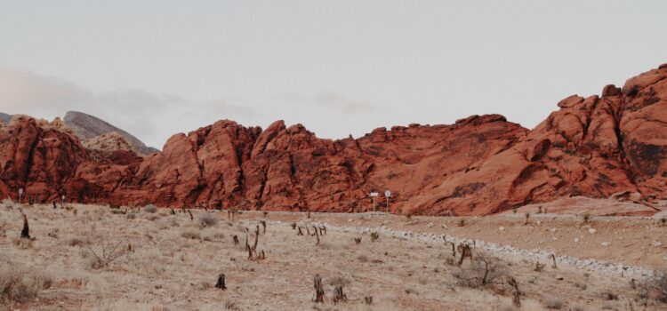 The Glass Castle Setting: From Deserts to NYC The Glass Castle Setting: From Deserts to NYC