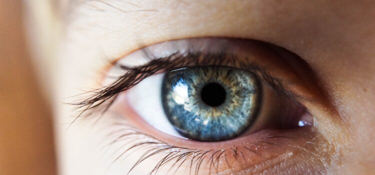 Human Eyesight: The Science of How We See