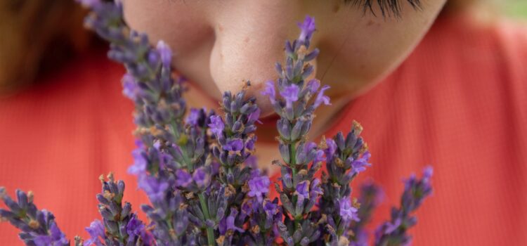 The Human Sense of Smell: The Nose Knows Evolution