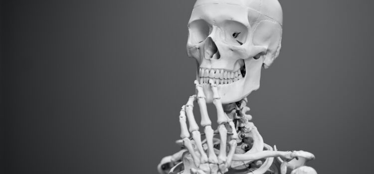Human Skull Development: A Complex Evolution