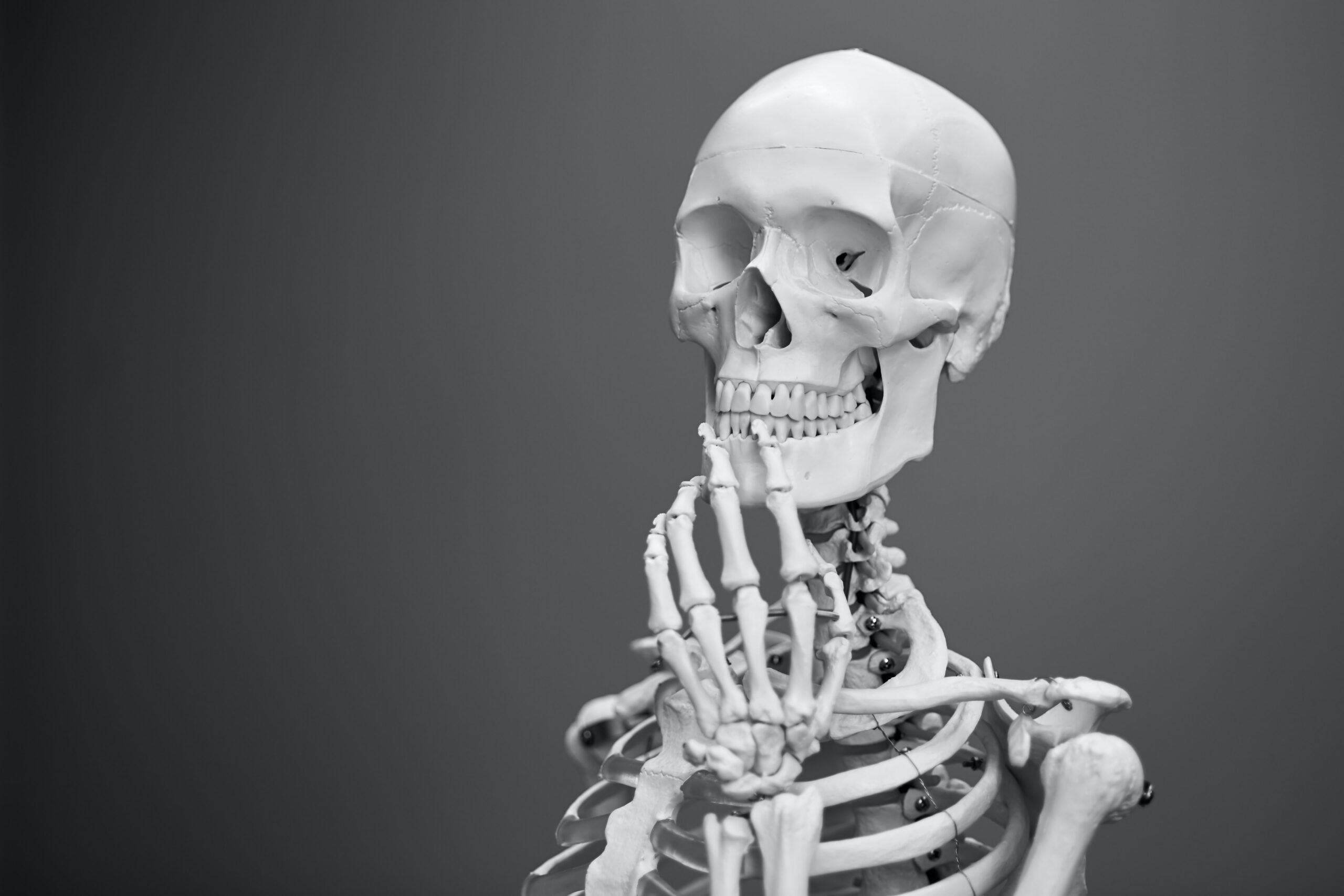 Human Skull Development: A Complex Evolution | Shortform Books