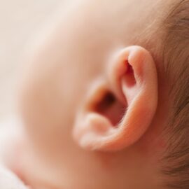 What Does the Inner Ear Do? Your Complete Guide