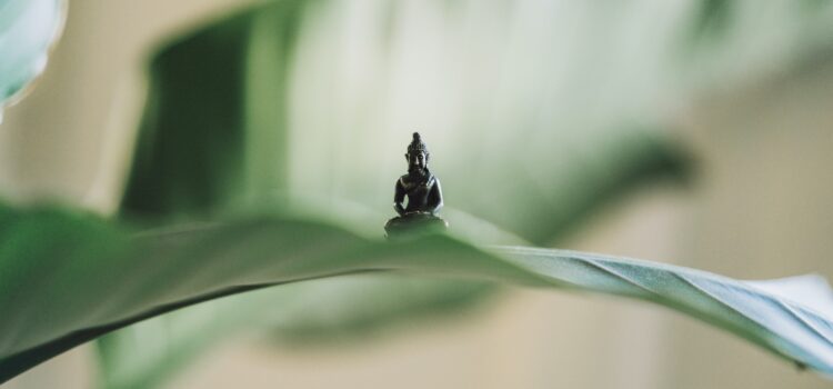 Examples of Wu Wei: When You Should Do Nothing Examples of Wu Wei: When You Should Do Nothing