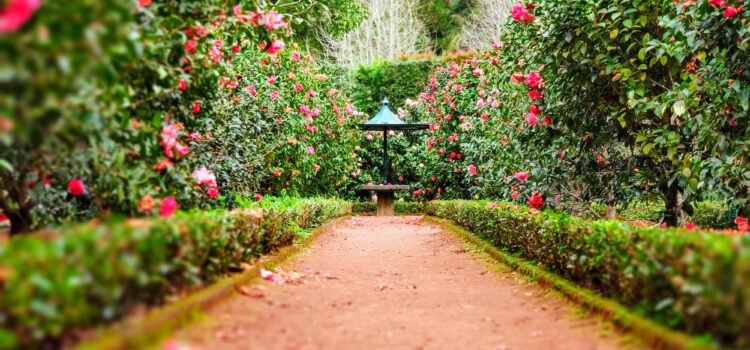 The Garden of Your Mind and How to Cultivate It The Garden of Your Mind and How to Cultivate It
