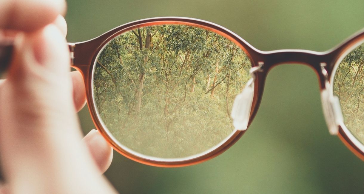 The Illusion of Transparency Explained Shortform Books