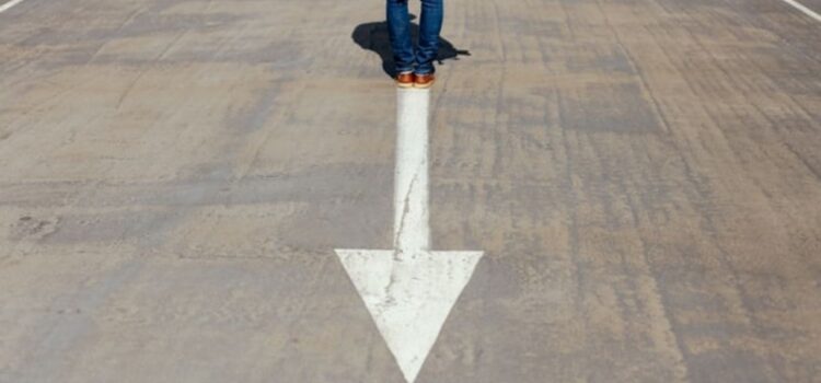 The Psychology of Goal-Oriented Behavior The Psychology of Goal-Oriented Behavior