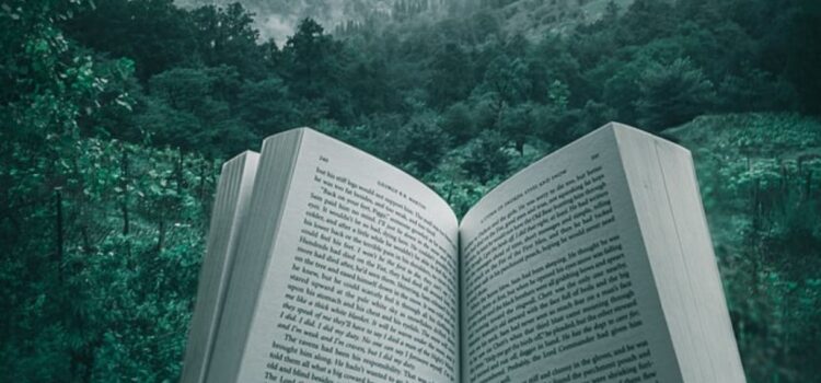 The Mountain Is You: Book Quotes to Transform Yourself The Mountain Is You: Book Quotes to Transform Yourself