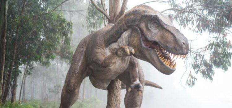 Theories of Extinction: Natural or Catastrophic? Theories of Extinction: Natural or Catastrophic?