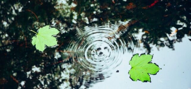 Ripple Effect: The Psychology of Behavior Change - Shortform Books