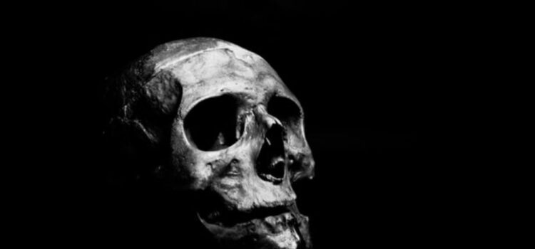 Neanderthal Extinction: Was It Caused By Humans?