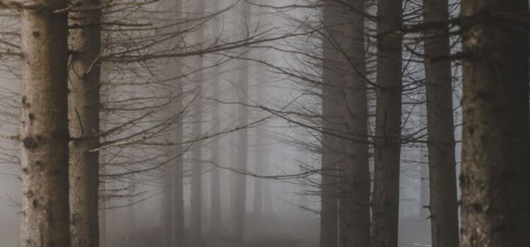 The Holocene Extinction Is Happening Around Us The Holocene Extinction Is Happening Around Us