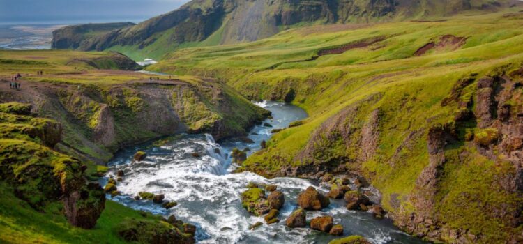 Learn to Go With the Flow: Life’s Easier That Way Learn to Go With the Flow: Life’s Easier That Way