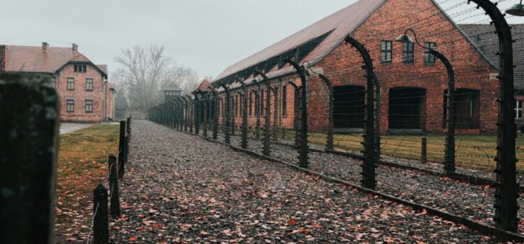 The Tattooist of Auschwitz Characters You Must Know The Tattooist of Auschwitz Characters You Must Know