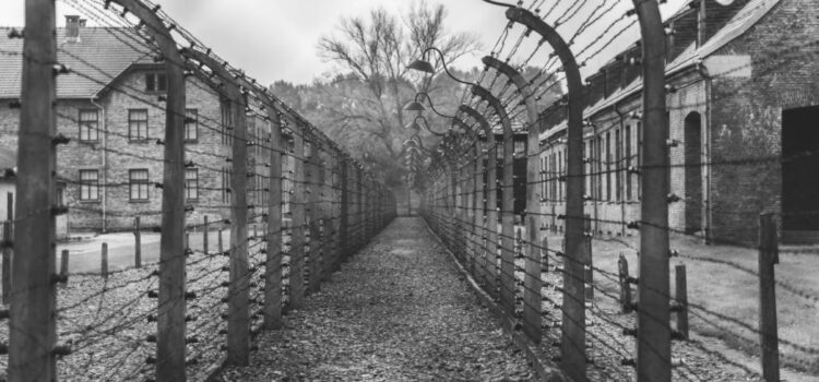 Lale and the Gypsies in Auschwitz