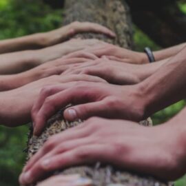 How to Foster Team Trust in a Complex Organization
