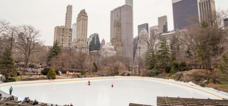 Trump and the Wollman Rink: Persistence Pays Off