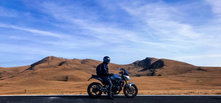 Zen and the Art of Motorcycle Maintenance: Phaedrus Zen and the Art of Motorcycle Maintenance: Phaedrus