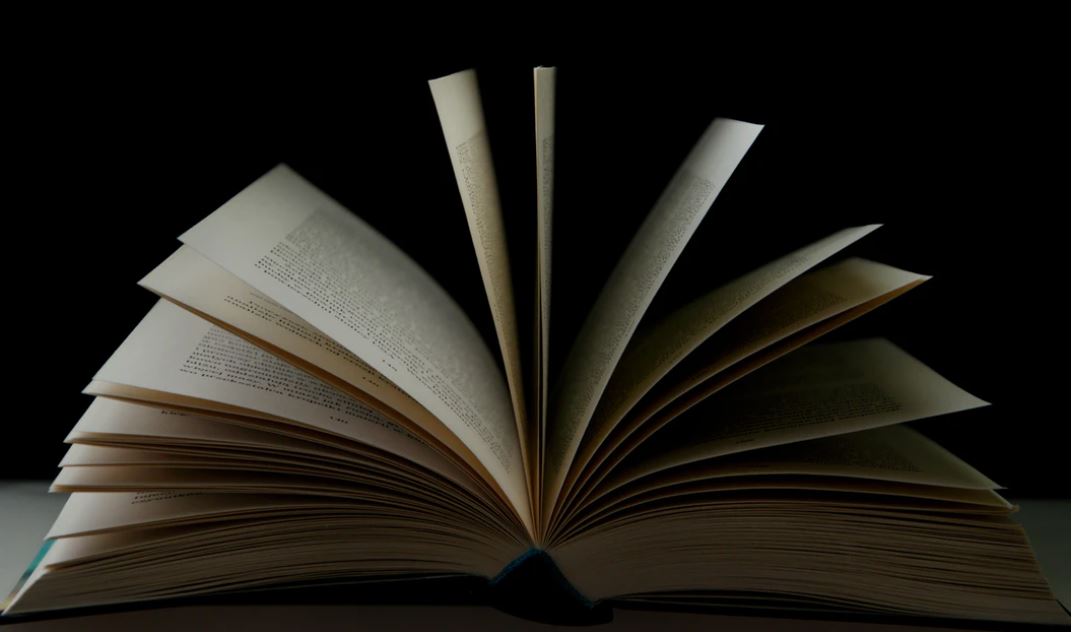 The 1619 Project A New Origin Story Book Overview Shortform Books The 1619 project a new origin story book overview shortform books