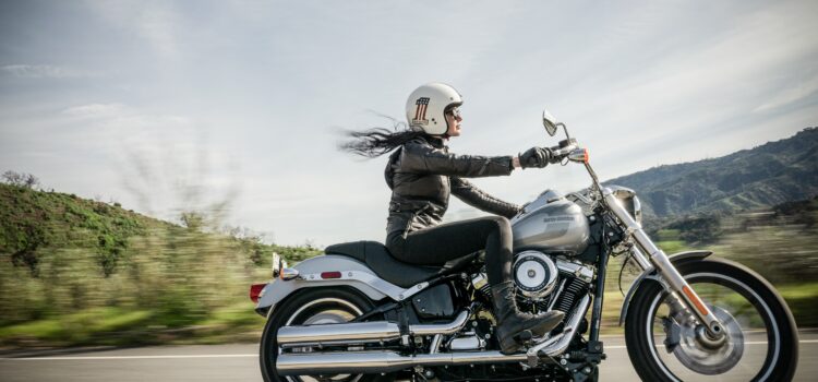 Zen and the Art of Motorcycle Maintenance: Quality Zen and the Art of Motorcycle Maintenance: Quality