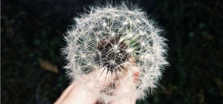 Why Do We Have Allergies? Evolution Can Explain Why Do We Have Allergies? Evolution Can Explain