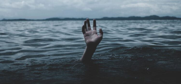SMaC Recipe: How to Survive in Times of Uncertainty SMaC Recipe: How to Survive in Times of Uncertainty