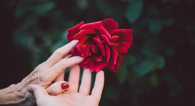 Slow the Aging Process: 3 Pillars of Lifelong Vitality Slow the Aging Process: 3 Pillars of Lifelong Vitality