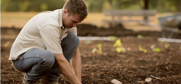 The Key to Finding Meaning in Life: Meaningful Work The Key to Finding Meaning in Life: Meaningful Work