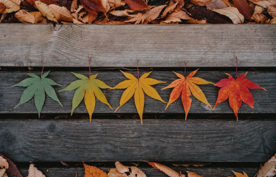 Symbolism of Seasons in Literature Explained Shortform Books