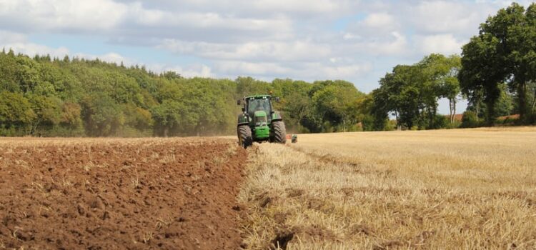 What’s the Impact of Agriculture on the Environment?