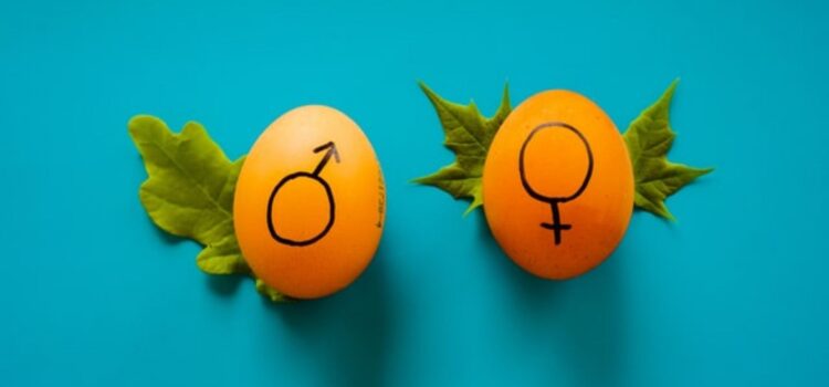 Male and Female Anatomy: Similar but Different Male and Female Anatomy: Similar but Different