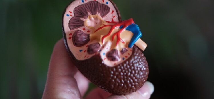 Kidney Disease: Prevention and Risk Management Kidney Disease: Prevention and Risk Management