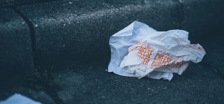 Fast Food Regulation: Failure and Influence Fast Food Regulation: Failure and Influence