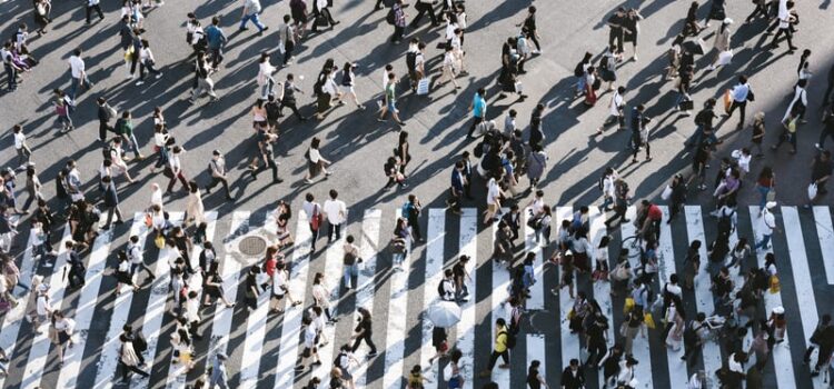 How Social Programming Drives Interactions How Social Programming Drives Interactions