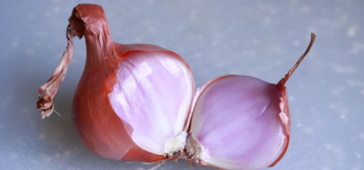 Self-Awareness Is Like an Onion: Peel Back the Layers Self-Awareness Is Like an Onion: Peel Back the Layers
