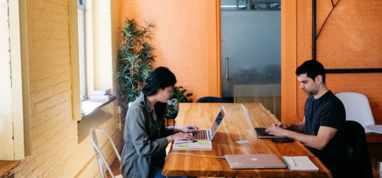The 9 Stages of Company Growth: The Blitzscaling Way The 9 Stages of Company Growth: The Blitzscaling Way
